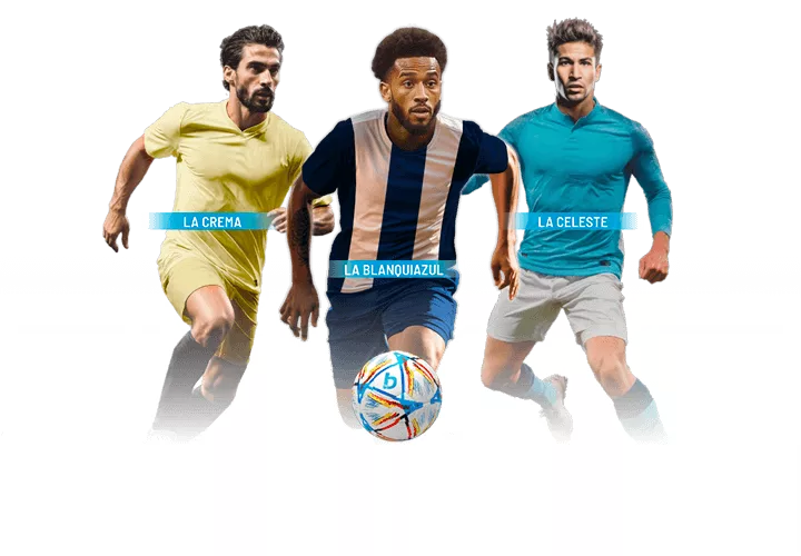 Sivasspor x fenerbahçe